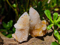 Natural Golden White Spirit Quartz Clusters And Crystals x 35 From Boekenhouthoek, South Africa