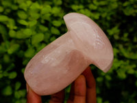 Polished XL Rose Quartz Mushrooms x 3 From Madagascar