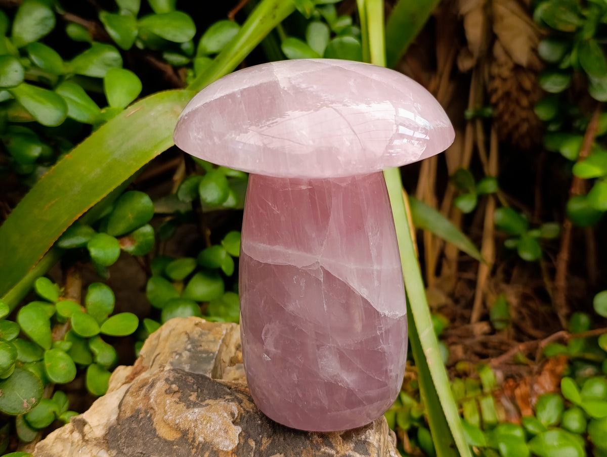Polished XL Rose Quartz Mushrooms x 3 From Madagascar - Toprock Gemstones and Minerals 