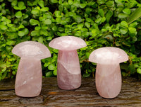 Polished XL Rose Quartz Mushrooms x 3 From Madagascar