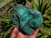 Natural Chatoyant Botryoidal Crystalline Malachite Specimens x 2 From Congo