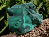 Natural Chatoyant Botryoidal Crystalline Malachite Specimens x 2 From Congo