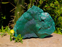 Natural Chatoyant Botryoidal Crystalline Malachite Specimens x 2 From Congo