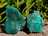 Natural Chatoyant Botryoidal Crystalline Malachite Specimens x 2 From Congo