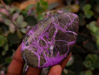Polished Stichtite Free Forms x 6 From Barberton, South Africa