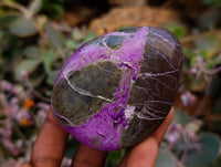 Polished Stichtite Free Forms x 6 From Barberton, South Africa