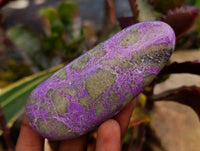 Polished Stichtite Free Forms x 6 From Barberton, South Africa