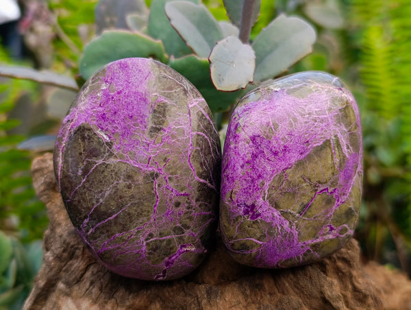 Polished Stichtite Free Forms x 6 From Barberton, South Africa