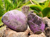 Polished Stichtite Free Forms x 6 From Barberton, South Africa