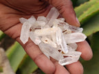 Natural Mine Run Quartz Crystals x 2.99 Kg Lot From Madagascar - Toprock Gemstones and Minerals 