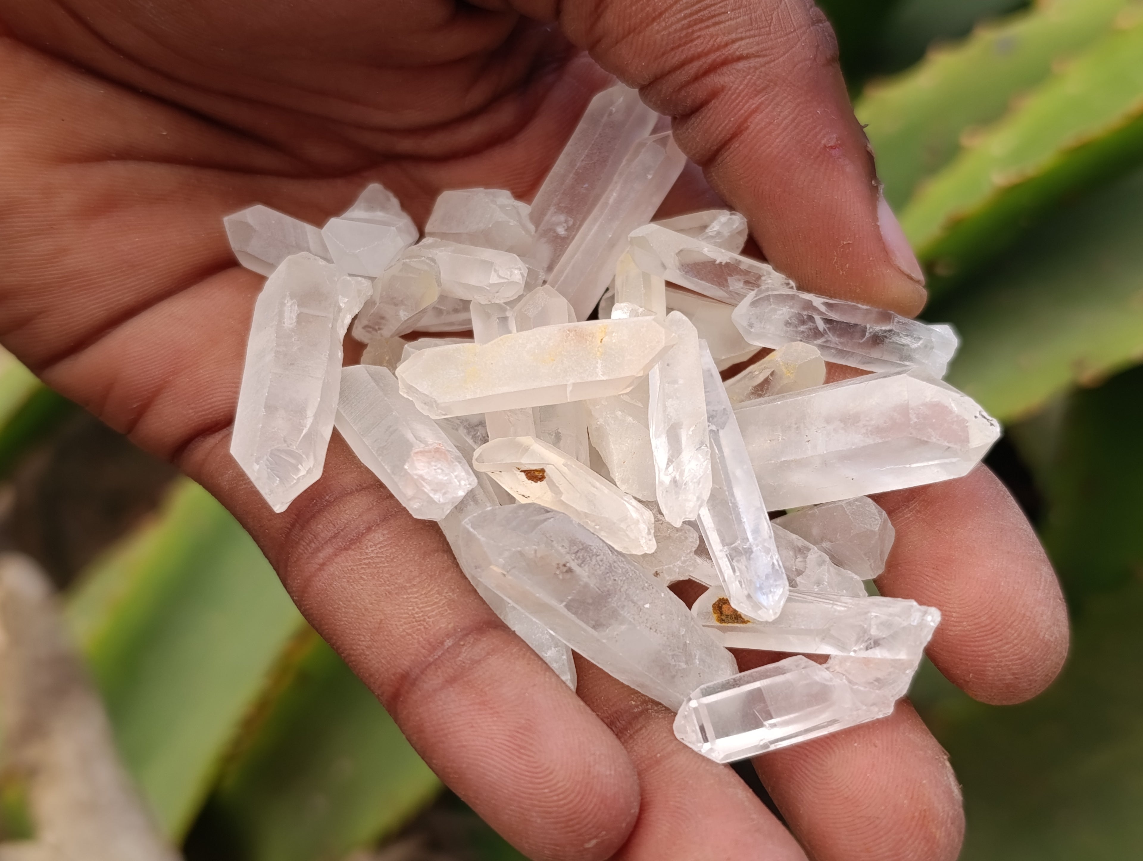 Natural Mine Run Quartz Crystals x 2.99 Kg Lot From Madagascar - Toprock Gemstones and Minerals 