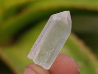 Natural Mine Run Quartz Crystals x 2.99 Kg Lot From Madagascar