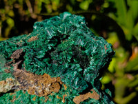 Natural Large Silky Malachite Specimen x 1 From Kasompe, Congo