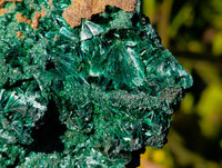 Natural Large Silky Malachite Specimen x 1 From Kasompe, Congo