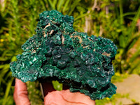 Natural Large Silky Malachite Specimen x 1 From Kasompe, Congo