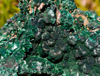 Natural Large Silky Malachite Specimen x 1 From Kasompe, Congo