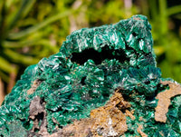 Natural Large Silky Malachite Specimen x 1 From Kasompe, Congo