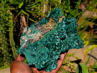 Natural Large Silky Malachite Specimen x 1 From Kasompe, Congo