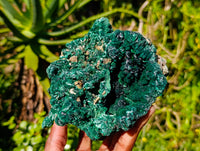 Natural Large Silky Malachite Specimen x 1 From Kasompe, Congo
