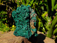 Natural Large Silky Malachite Specimen x 1 From Kasompe, Congo