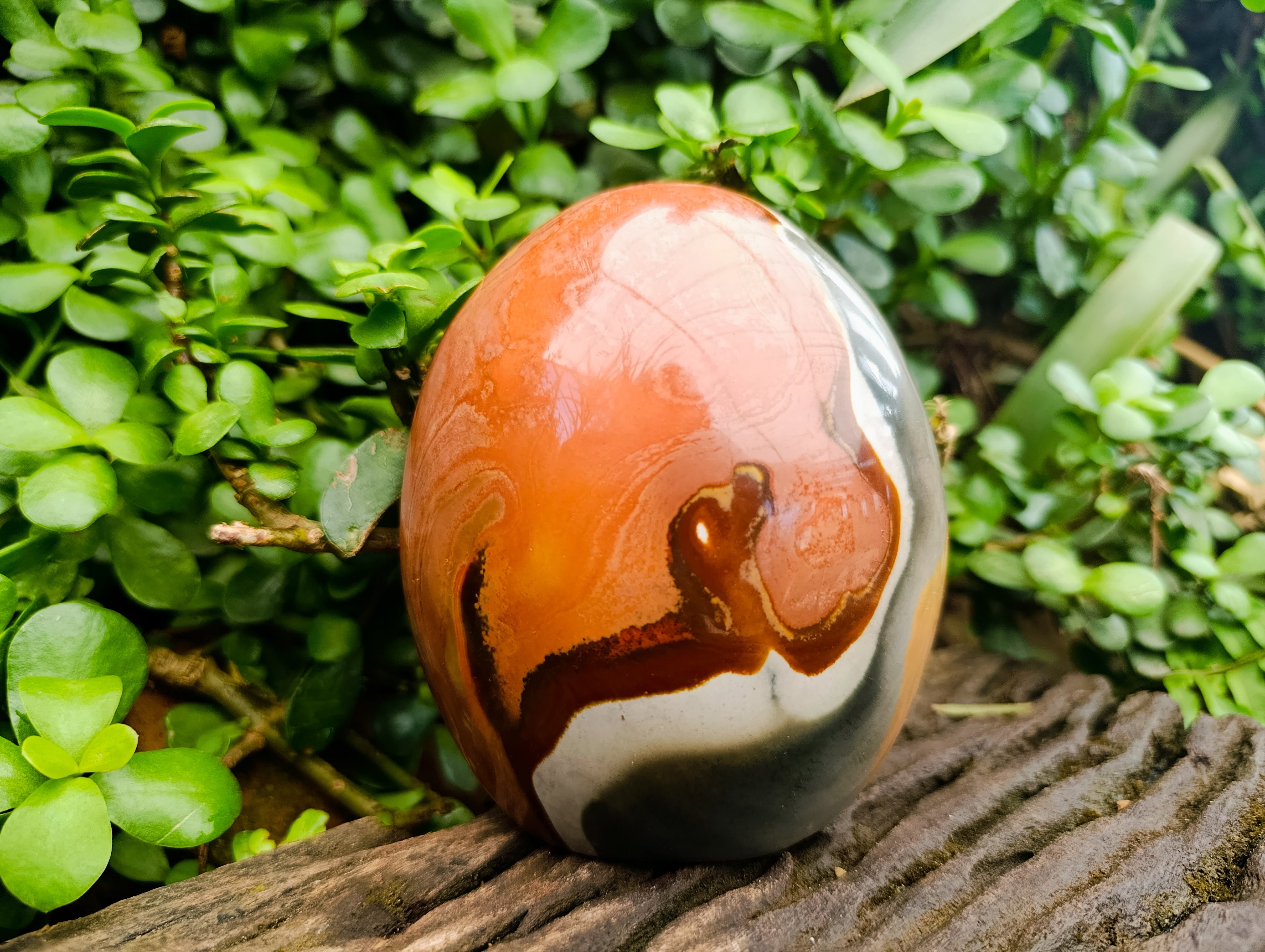 Polished Polychrome Jasper Standing Free Form x 1 From NW Coast, Madagascar - Toprock Gemstones and Minerals 
