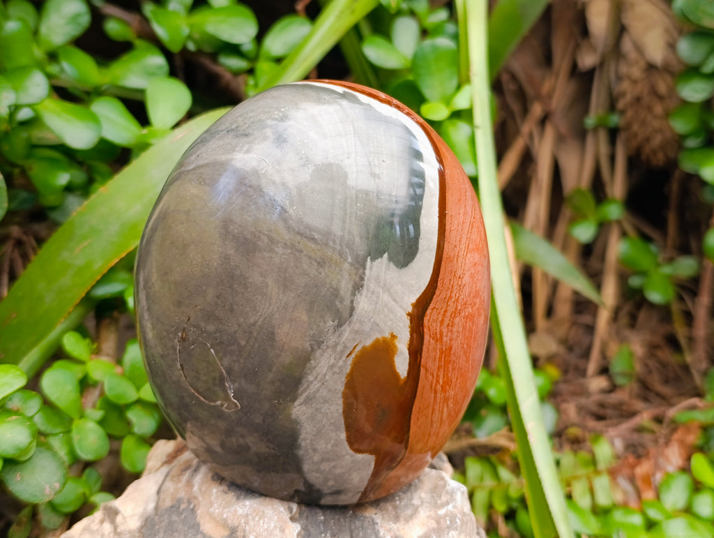 Polished Polychrome Jasper Standing Free Form x 1 From NW Coast, Madagascar - Toprock Gemstones and Minerals 