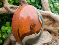 Polished Polychrome Jasper Standing Free Form x 1 From NW Coast, Madagascar