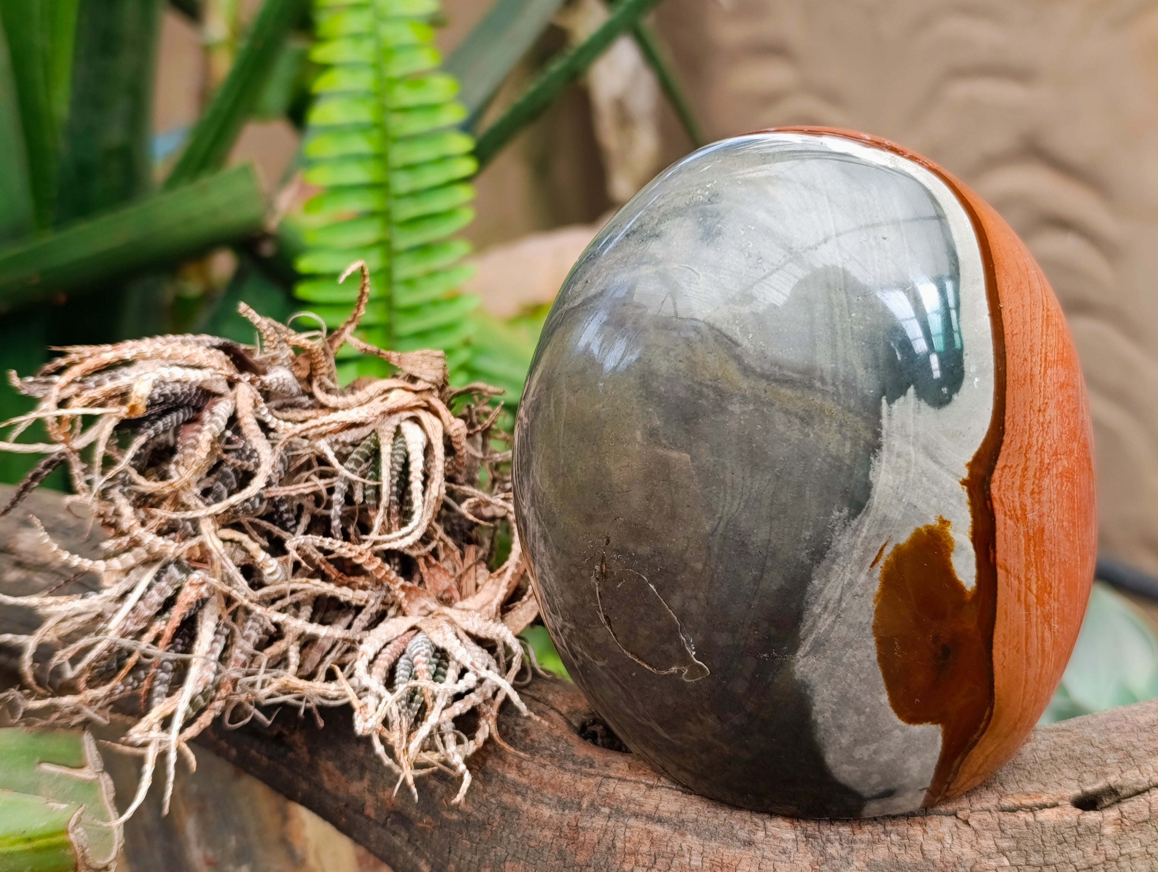 Polished Polychrome Jasper Standing Free Form x 1 From NW Coast, Madagascar - Toprock Gemstones and Minerals 
