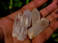 Natural Multi Mineral Specimens x 2.69 Kg Lot From Southern Africa