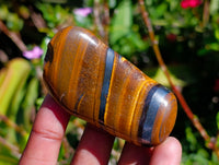Polished Golden Tigers Eye with Banded Tiger Iron Free Forms x 12 From Prieska, South Africa