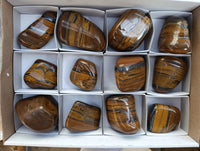 Polished Golden Tigers Eye with Banded Tiger Iron Free Forms x 12 From Prieska, South Africa