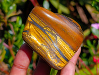 Polished Golden Tigers Eye with Banded Tiger Iron Free Forms x 12 From Prieska, South Africa