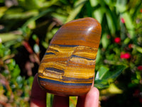 Polished Golden Tigers Eye with Banded Tiger Iron Free Forms x 12 From Prieska, South Africa