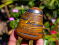 Polished Golden Tigers Eye with Banded Tiger Iron Free Forms x 12 From Prieska, South Africa