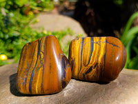 Polished Golden Tigers Eye with Banded Tiger Iron Free Forms x 12 From Prieska, South Africa