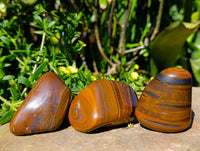 Polished Golden Tigers Eye with Banded Tiger Iron Free Forms x 12 From Prieska, South Africa