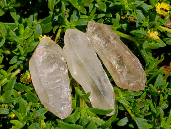Natural Double Terminated Quartz Crystals x 35 From Madagascar