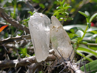 Natural Double Terminated Quartz Crystals x 35 From Madagascar
