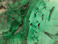 Polished Flower Banded Malachite Slices x 24 From Congo
