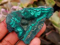 Polished Flower Banded Malachite Slices x 24 From Congo