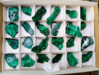 Polished Flower Banded Malachite Slices x 24 From Congo