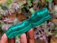 Polished Flower Banded Malachite Slices x 24 From Congo