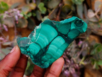 Polished Flower Banded Malachite Slices x 24 From Congo