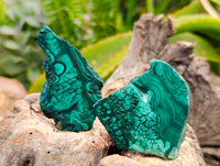 Polished Flower Banded Malachite Slices x 24 From Congo