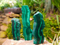 Polished Flower Banded Malachite Slices x 24 From Congo
