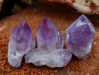 Natural Jacaranda Amethyst Quartz Crystals x 12 From Mumbwa, Zambia
