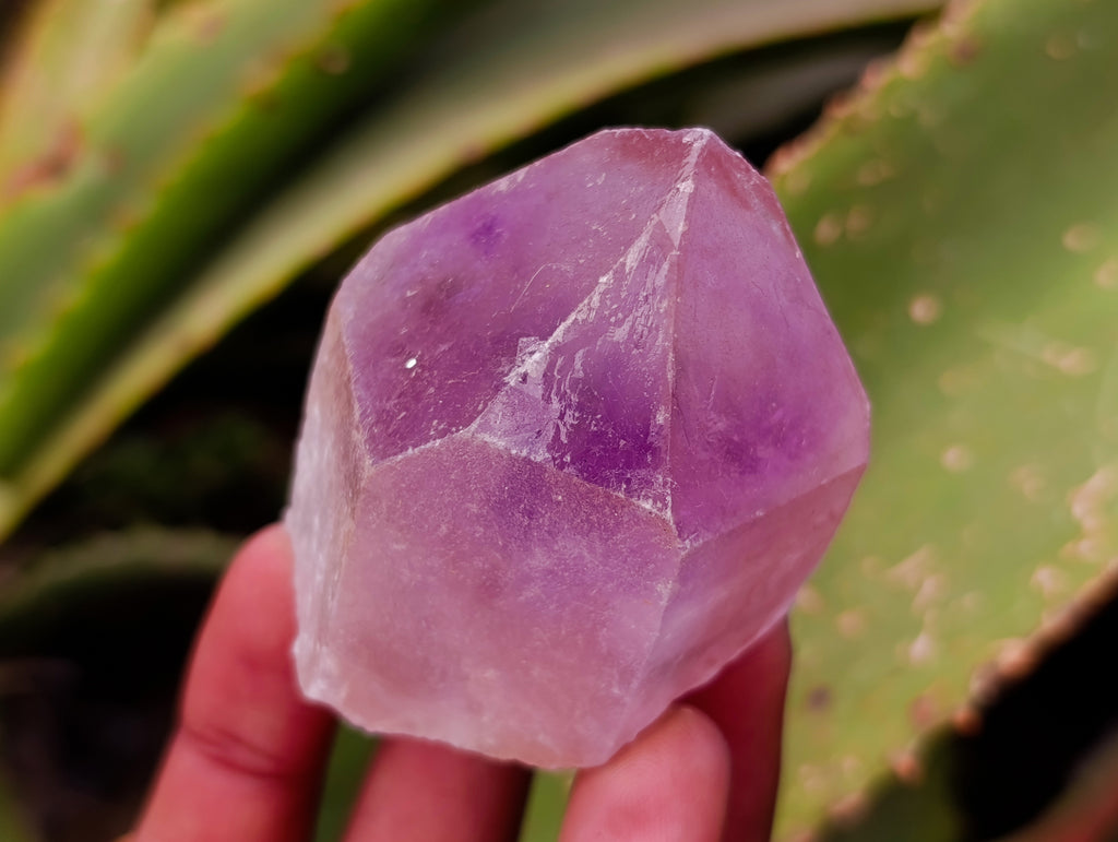Natural Jacaranda Amethyst Quartz Crystals x 12 From Mumbwa, Zambia - Toprock Gemstones and Minerals 