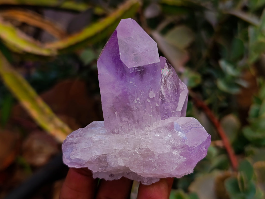 Natural Jacaranda Amethyst Quartz Crystals x 12 From Mumbwa, Zambia - Toprock Gemstones and Minerals 