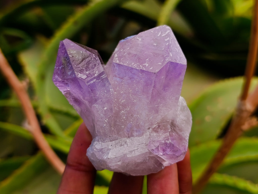 Natural Jacaranda Amethyst Quartz Crystals x 12 From Mumbwa, Zambia - Toprock Gemstones and Minerals 