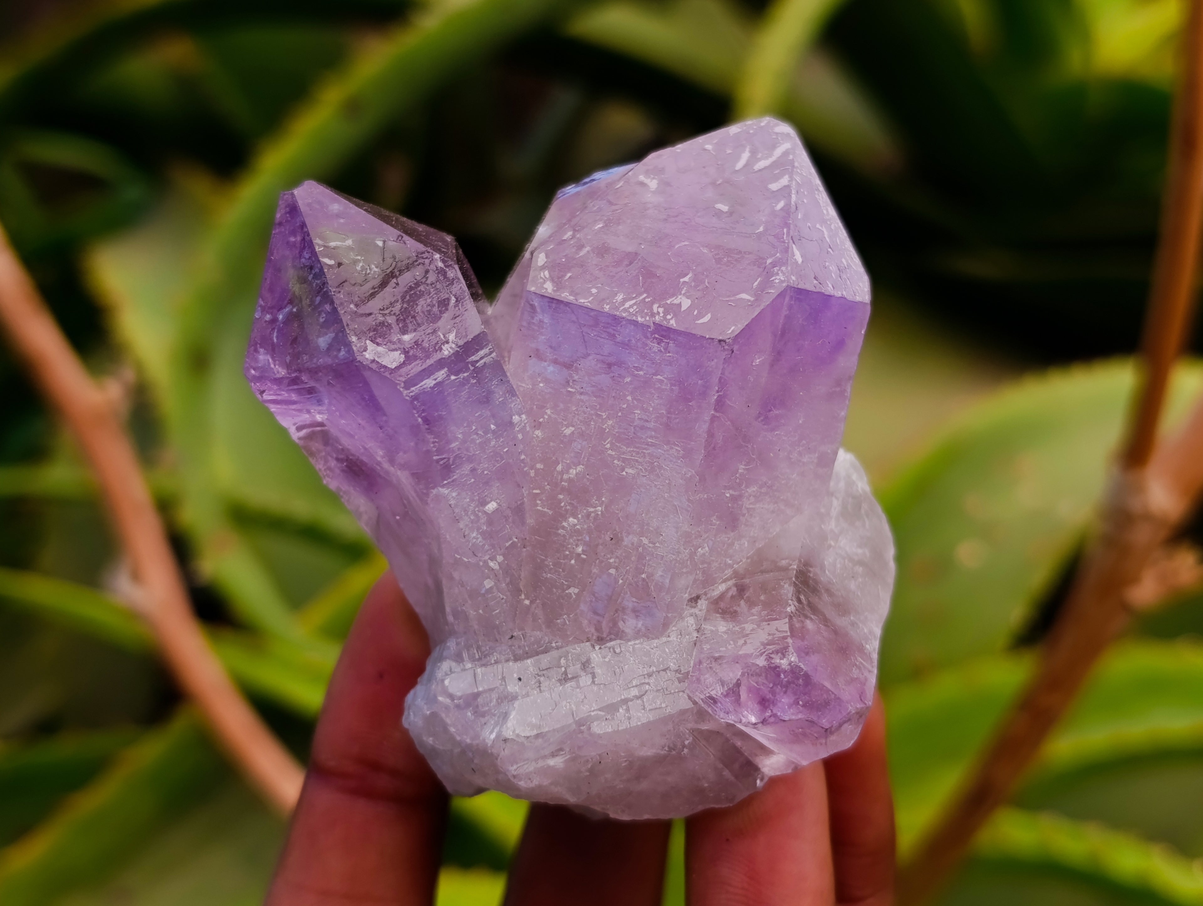 Natural Jacaranda Amethyst Quartz Crystals x 12 From Mumbwa, Zambia - Toprock Gemstones and Minerals 
